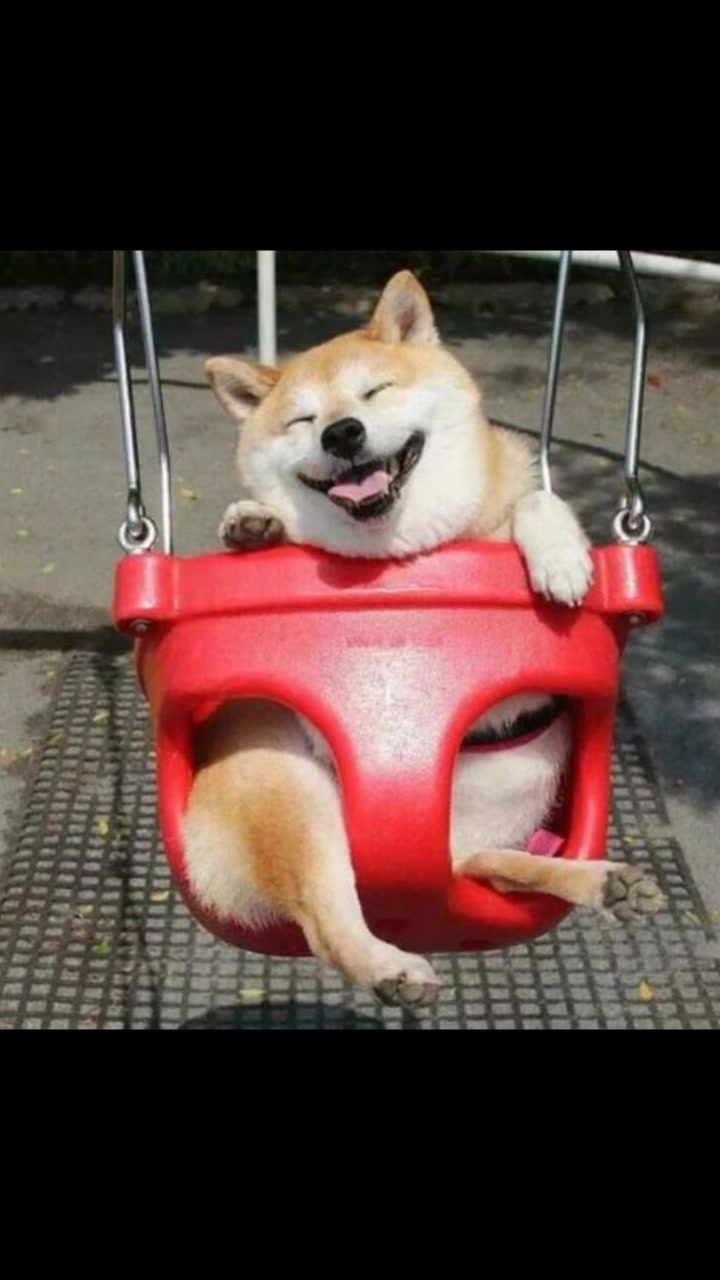 好看又可爱的QQ头像送给你们