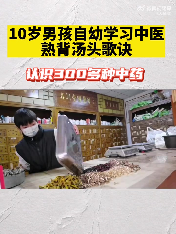 「10岁男孩识300多种中药」12月29日,河南商丘,10岁男孩自幼学习中医,熟背汤头歌诀
