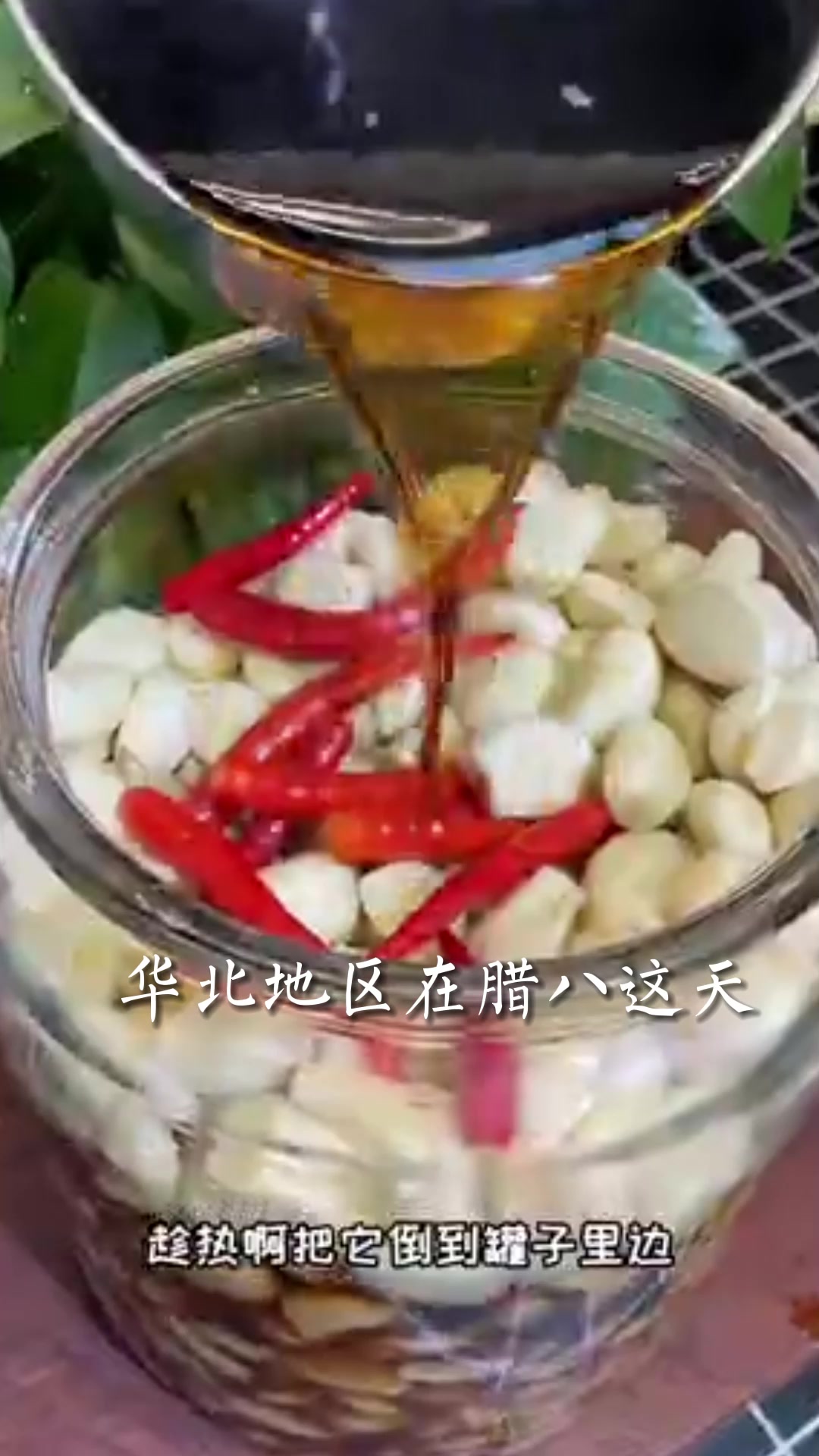 腊八粥香,愿你的2023,事事“粥”全~