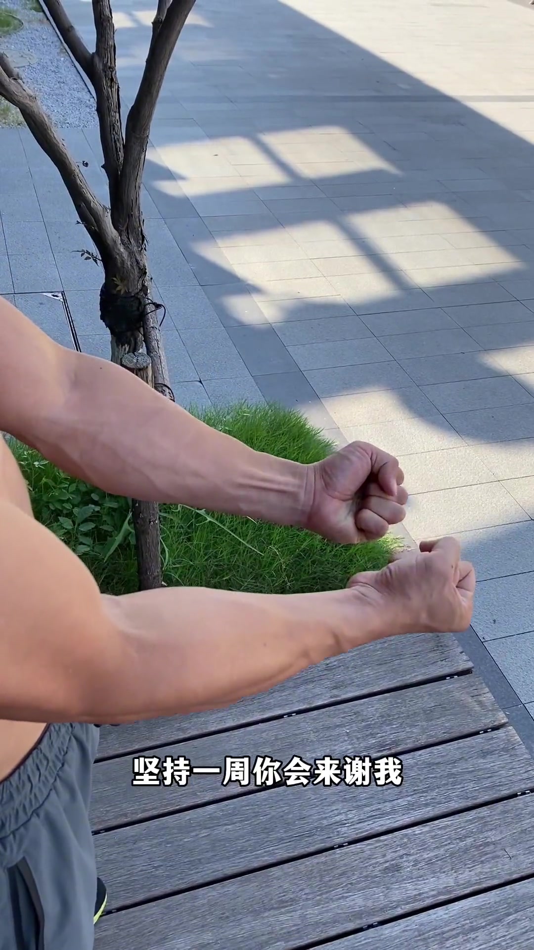 想要练出强壮的麒麟臂,手臂针对性训练不能忽视!麒麟臂 居家锻炼 小臂训练