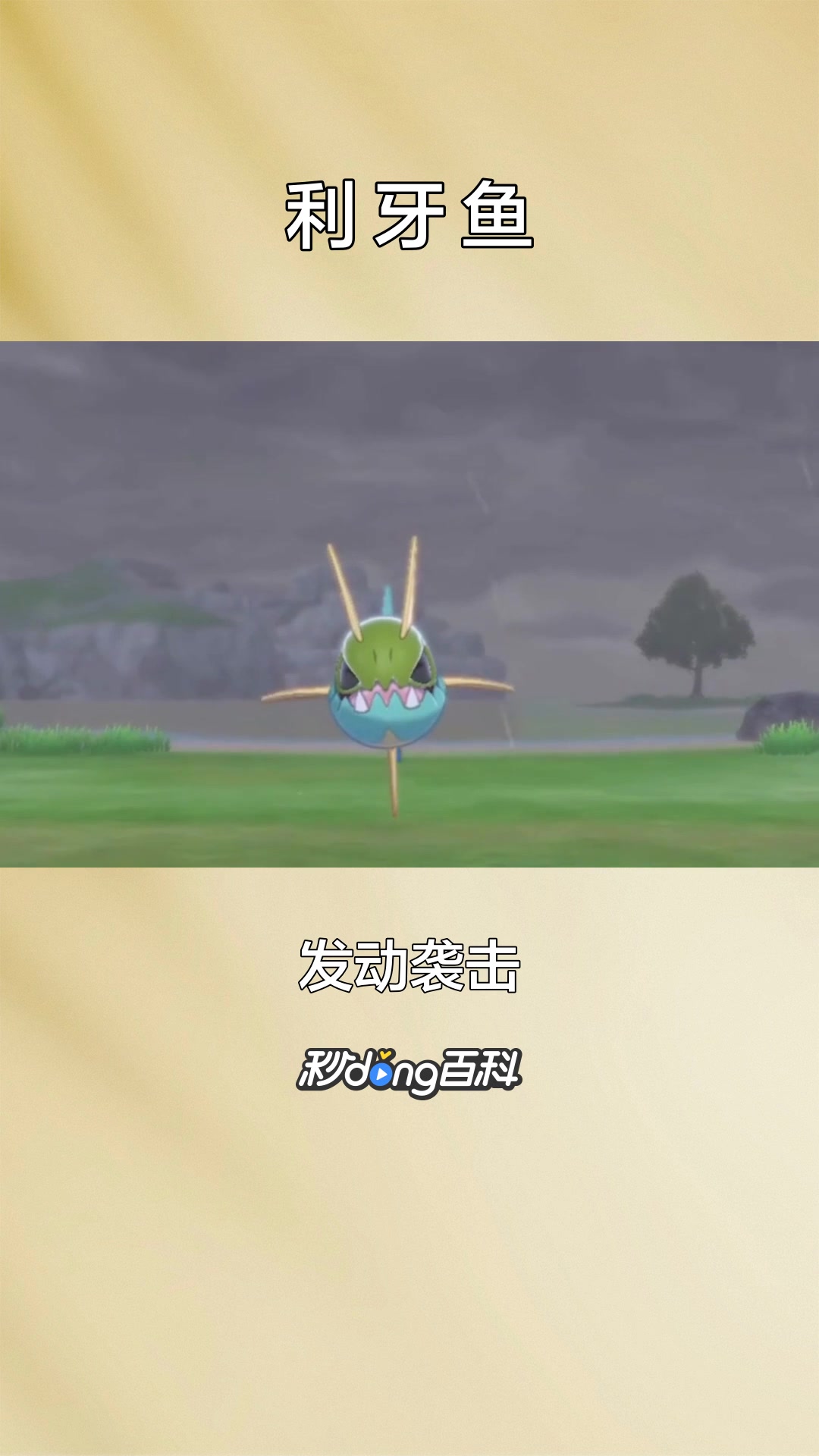 一分钟了解宝可梦利牙鱼