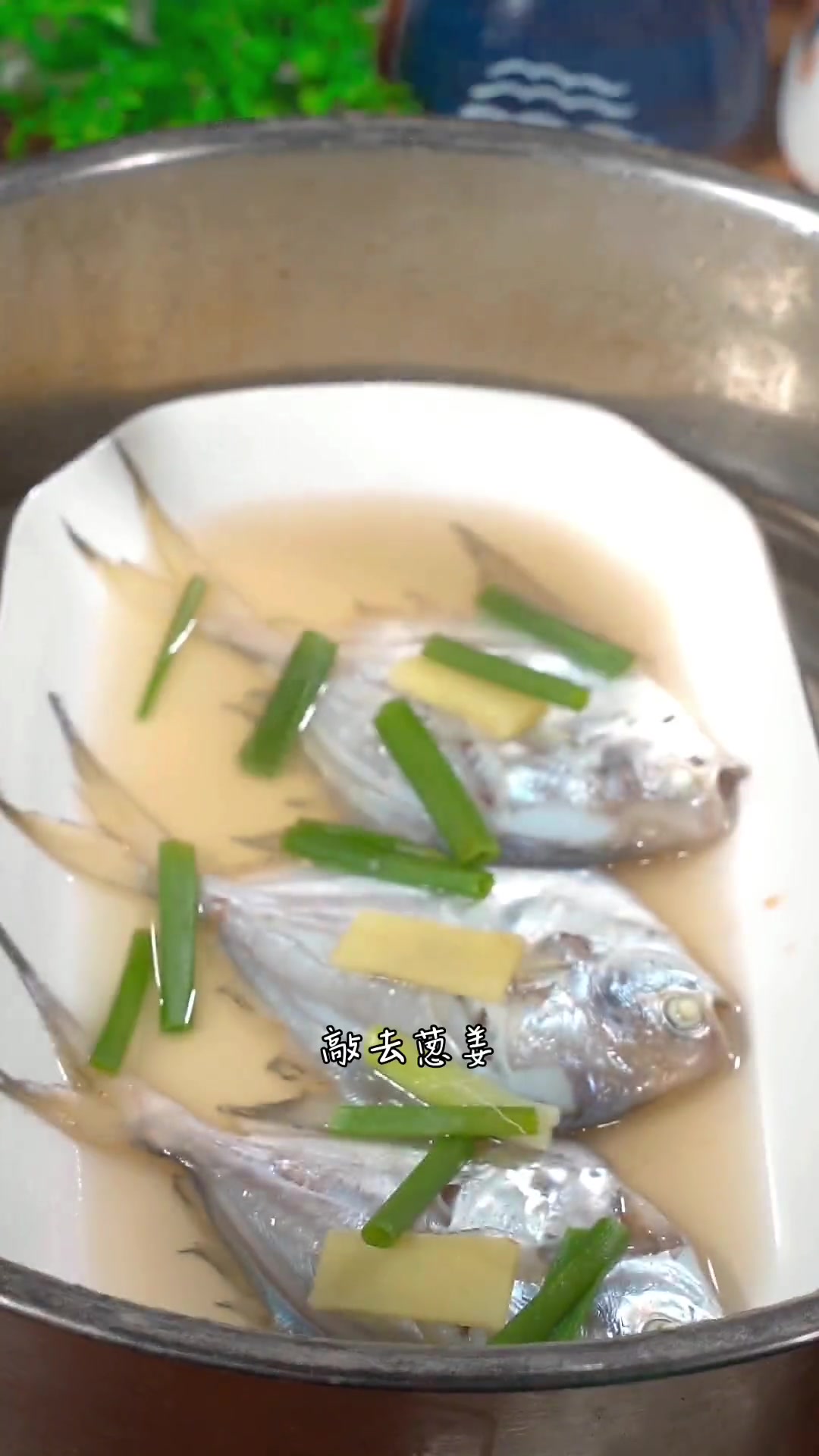 鲳鱼这样做,就像烧开水一样简单,喜欢你也赶紧试试吧 白灼汁 清蒸鲳鱼 家常菜