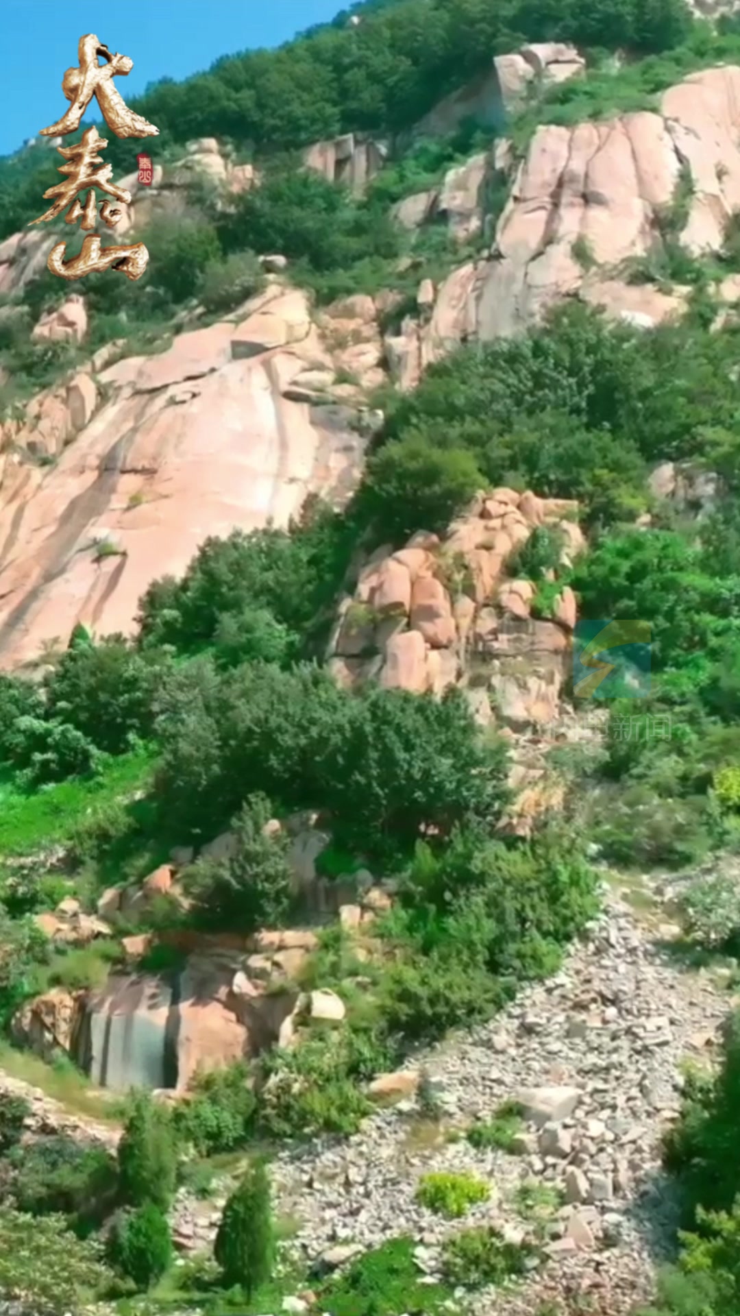 大泰山丨“赤鳞鱼不下山”?NO!泰山“精灵”可以在山下生活啦