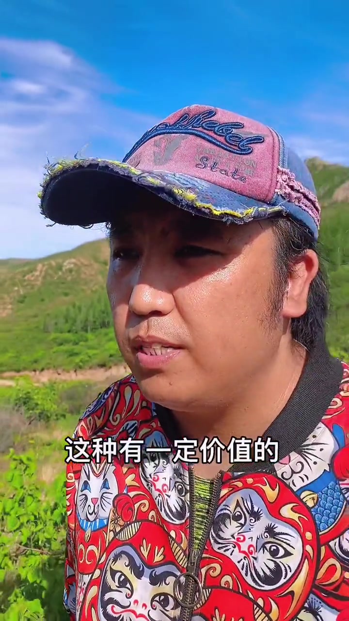 创作灵感 中草药 三农 +小助手 再讲一期 草苁蓉 希望朋友们都能保护这种植物!