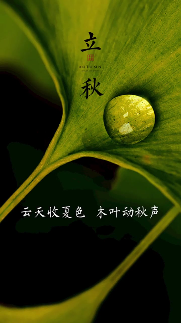 豫见东风 唯美意境 立秋 愿有岁月可回首 所遇皆美好 郑州 禅悟人生 +小助手