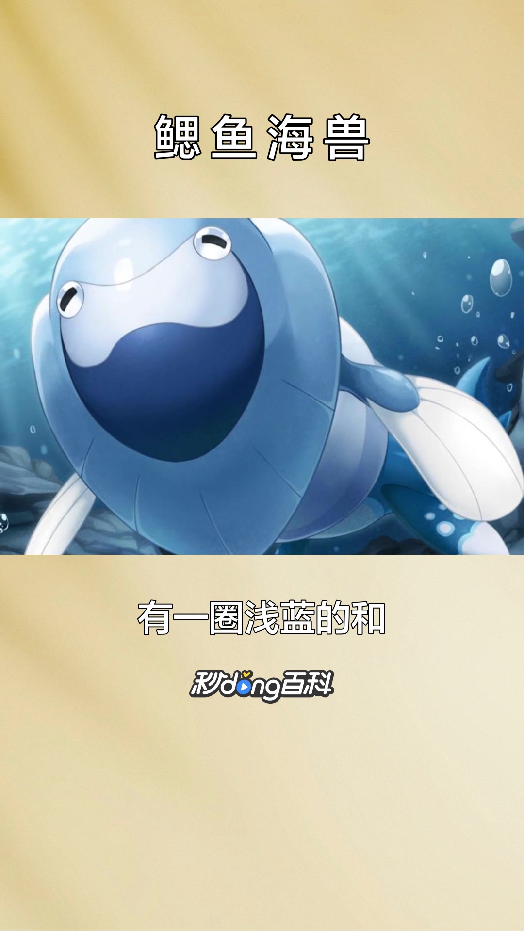 一分钟了解宝可梦鳃鱼海兽