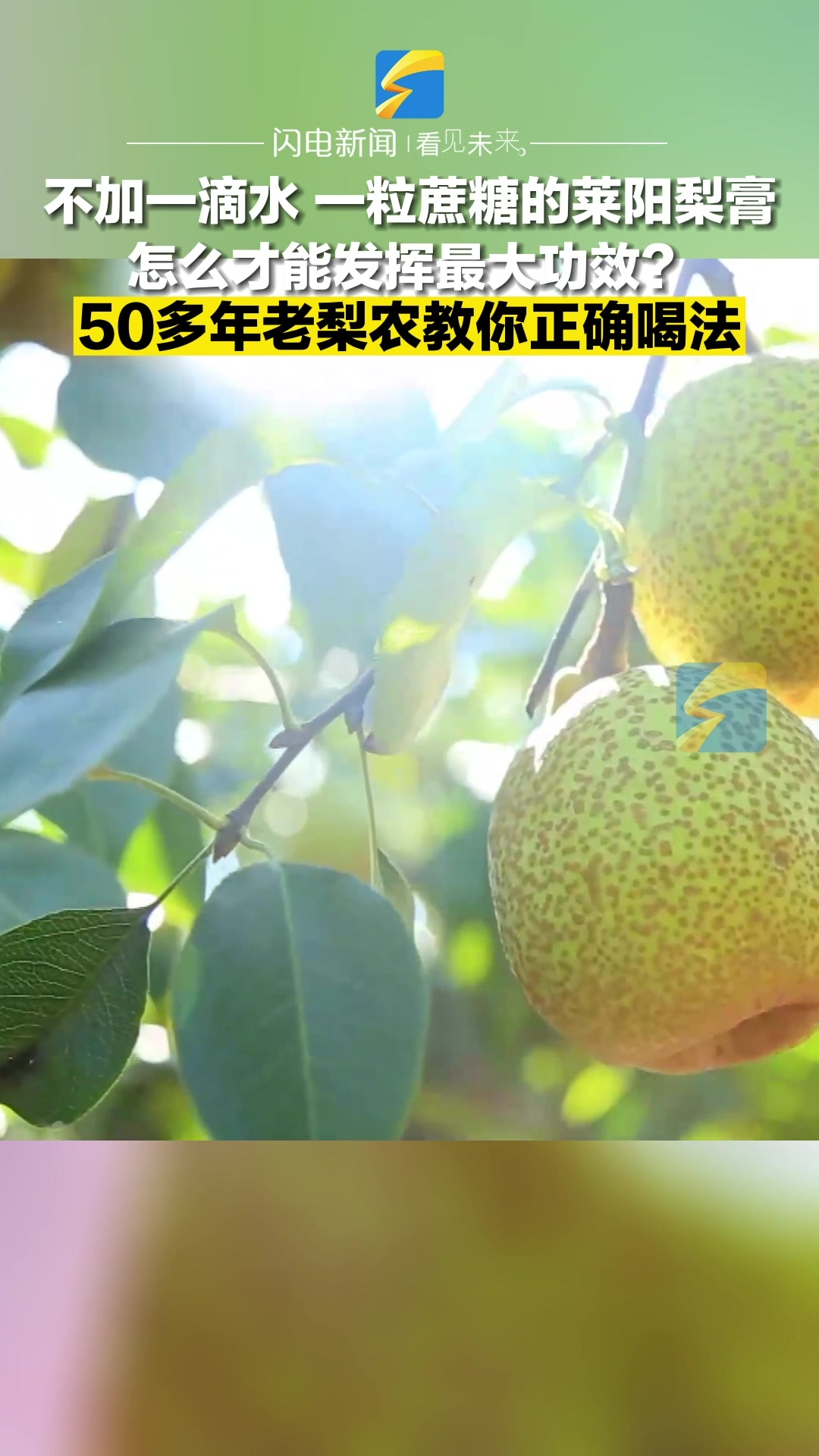 不加一滴水一粒蔗糖!50多年老梨农教你莱阳梨膏正确喝法