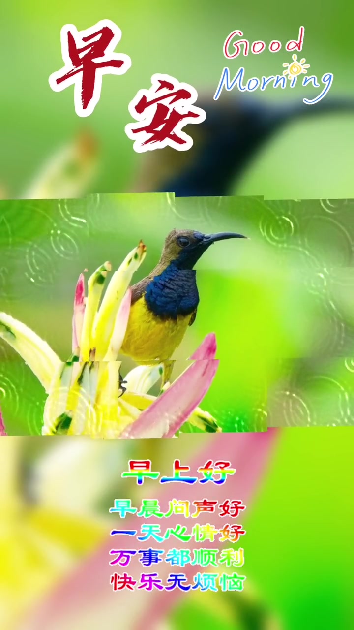 今天是2023年1月4日星期三,农历腊月十三,早上好呀,让快乐迎来今天,让开心走过昨天,保