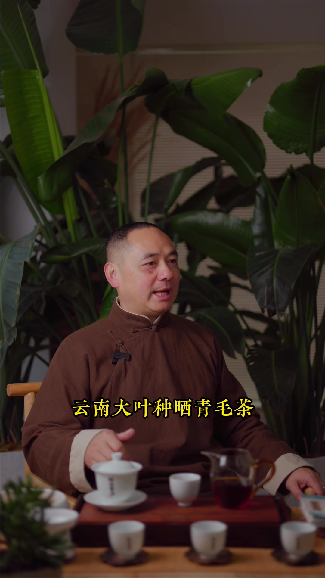 哪些山头是中小叶种茶?