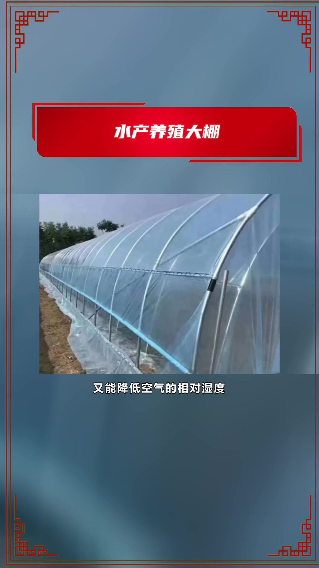 红河州蔬菜大棚钢架