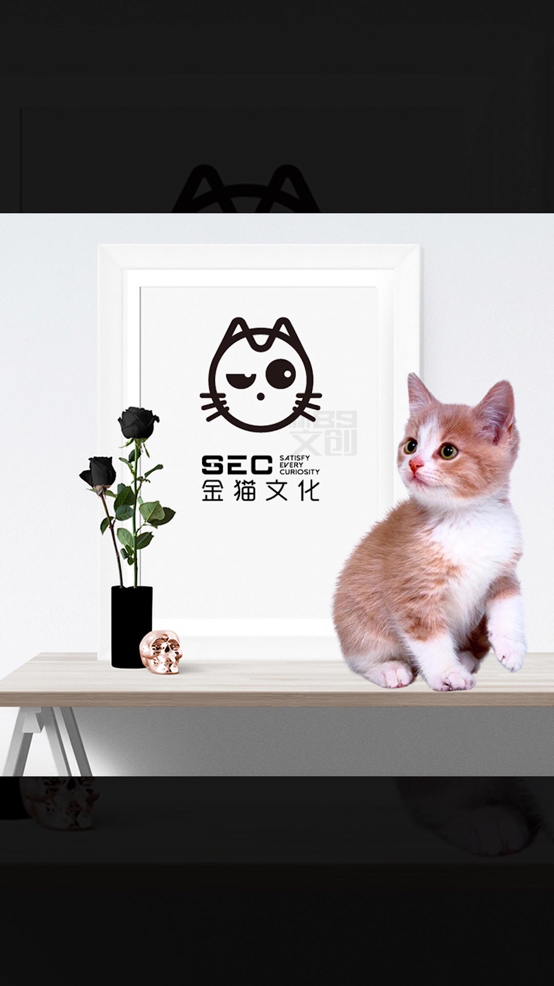 猫咪logo设计汇总