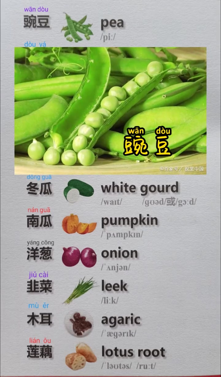 第6集|学汉语 藏汉 蔬菜 蔬菜名称②