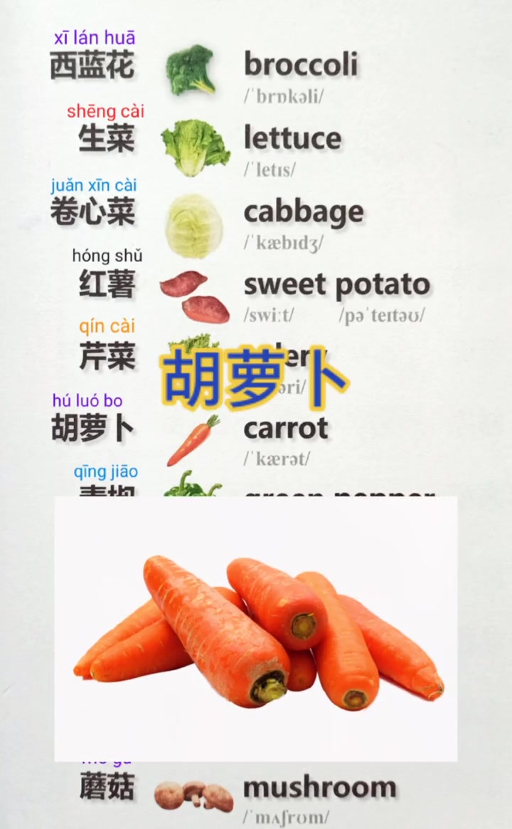 第7集|学汉语 藏汉双语 蔬菜名称