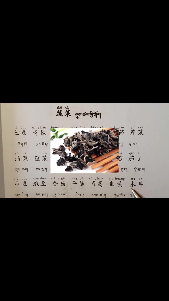 第18集|蔬菜名称 学汉语 藏汉双语
