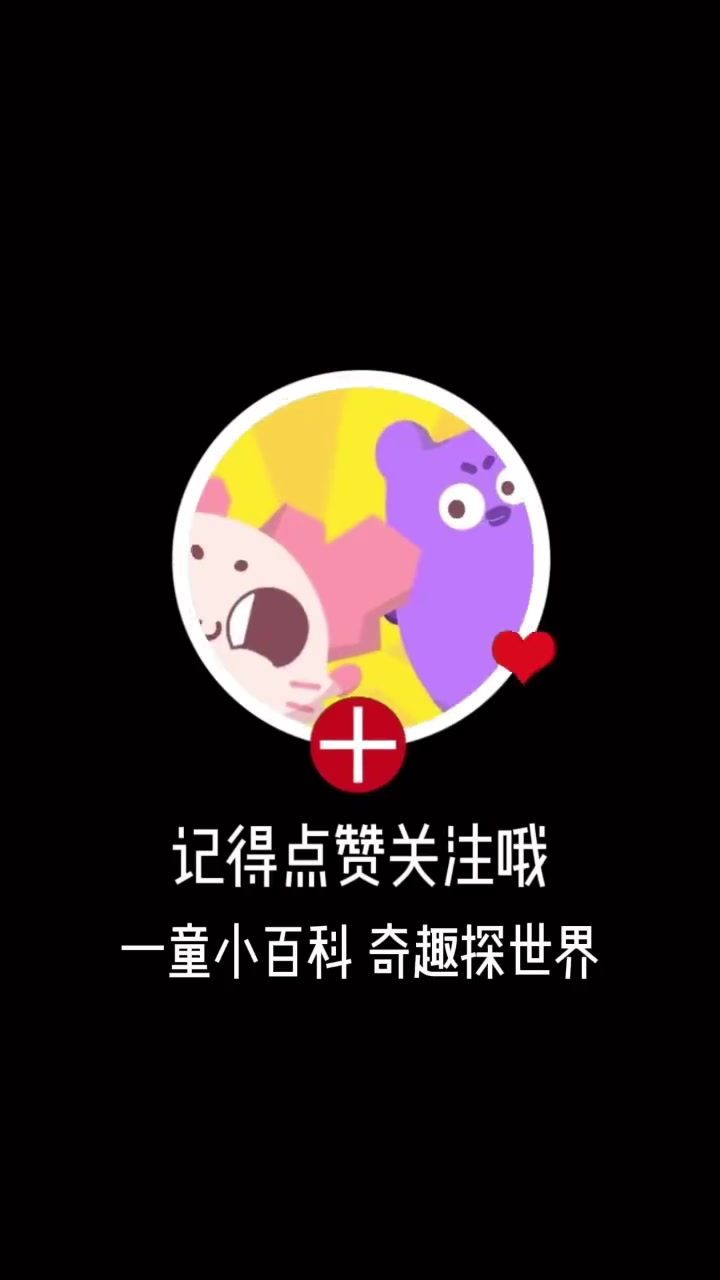 第2集|就算是一指禅大师,手指也没有肌肉哦 冷知识 手指 灵活的手指 一童小百科 +小助手