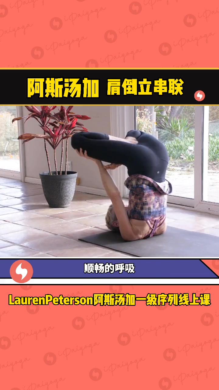 来数一数阿斯汤加序列中肩倒立串联你可以做哪几个 瑜伽 阿斯汤加 肩倒立 +小助手