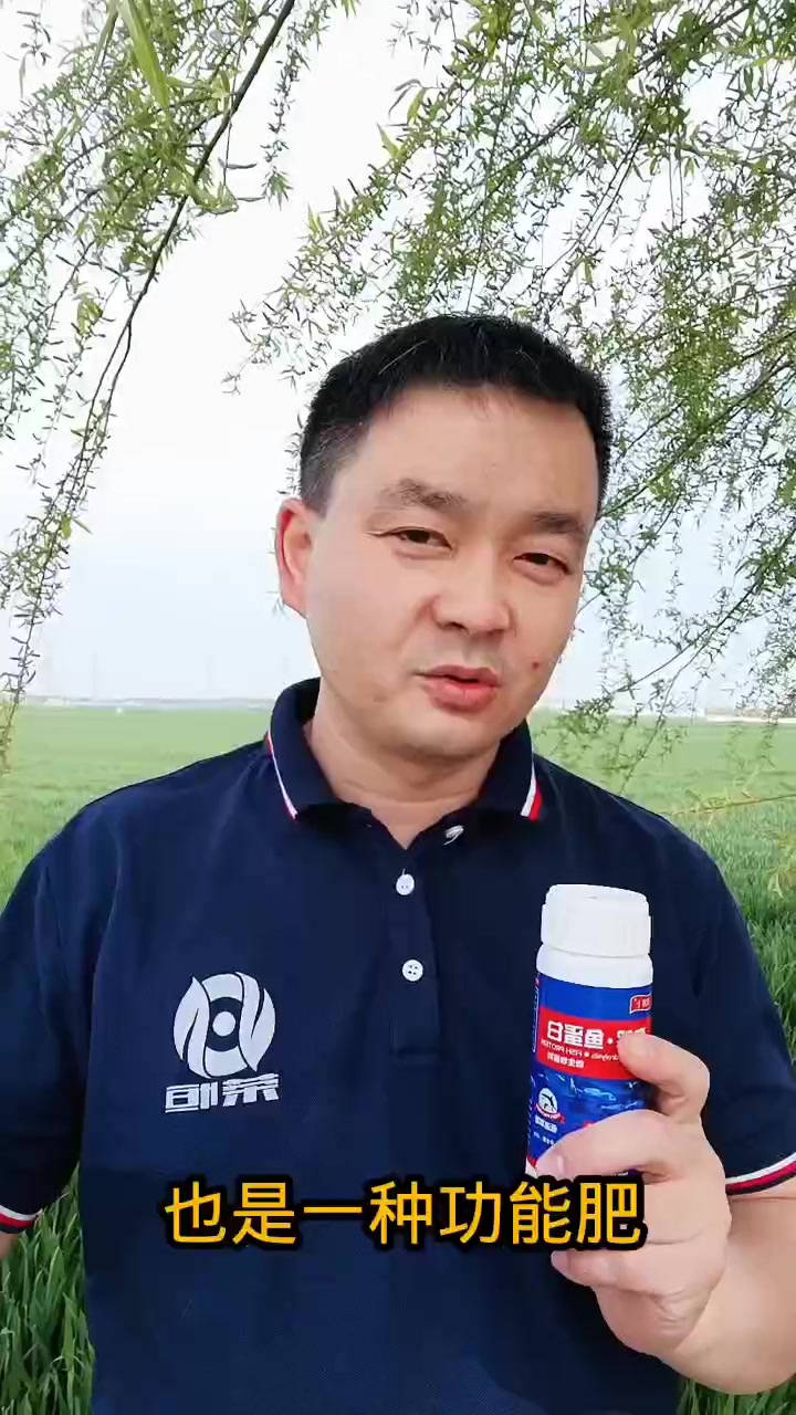 鱼蛋白肥料的功能介绍