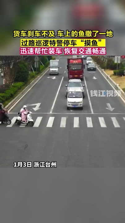 这回“摸鱼”光明正大!巡逻特警帮助车主清理撒落在车道上的鱼