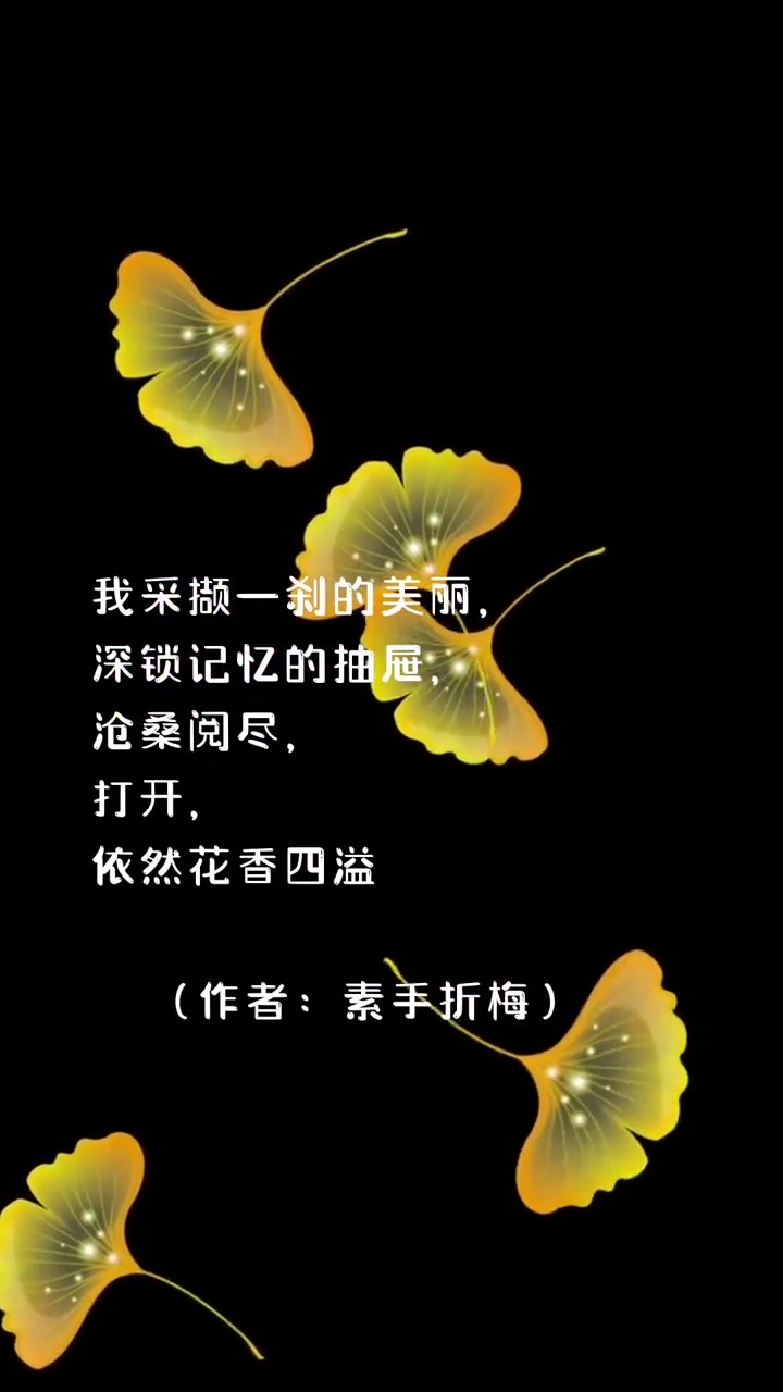 素手折梅的句子，只能用心读，出声都是多余，所以没有录。你打开记忆，可有香飘来？文学 心情语