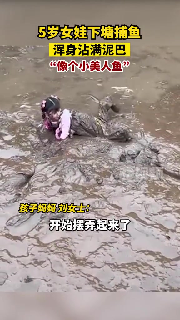 小女孩泥塘抱大鱼像极了年画娃娃「小女孩下塘捉鱼变泥娃娃」近日，四川内江，鱼塘放水后，爸爸带