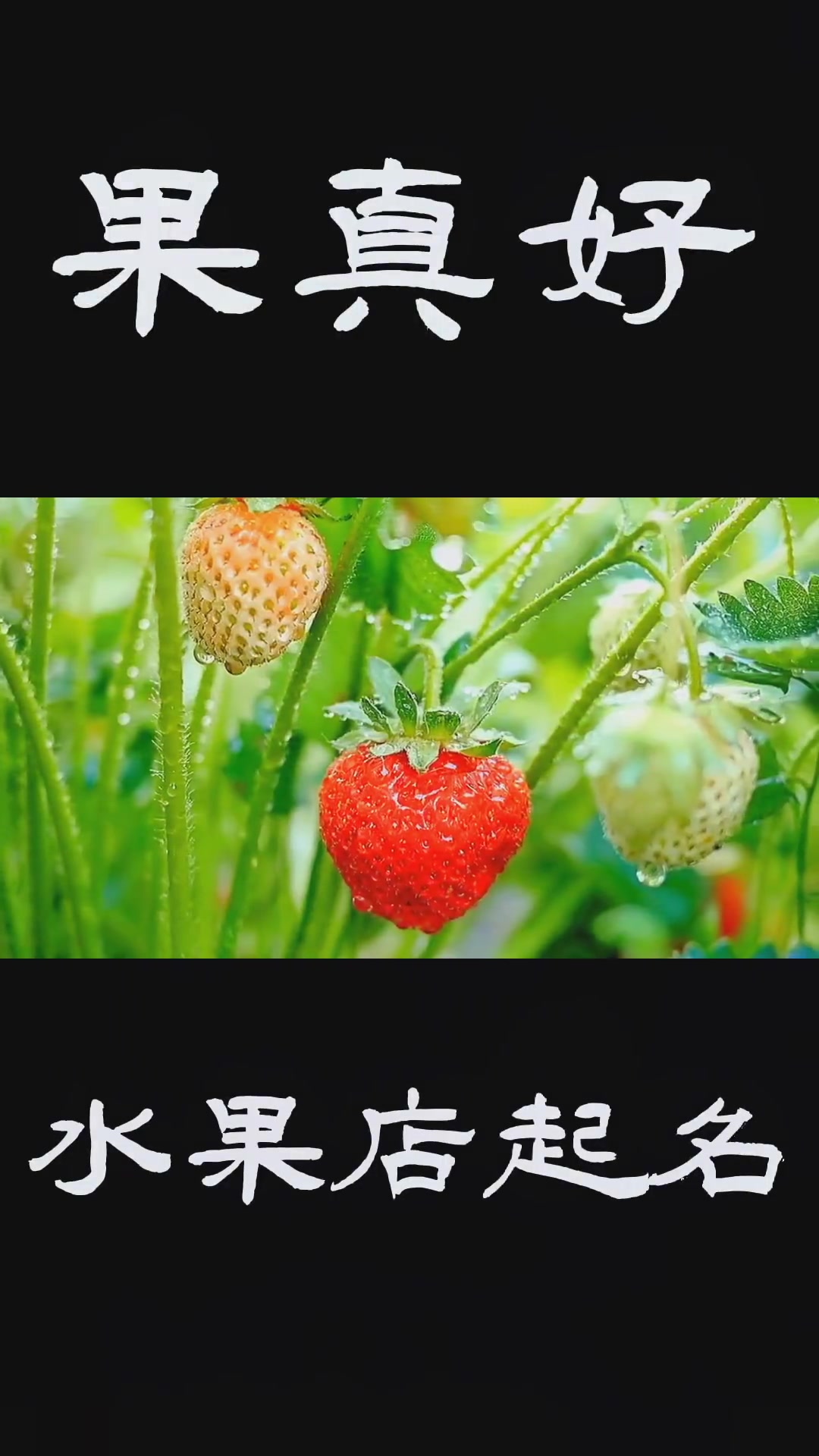 第31集|水果店铺名字大全 起名 商标起名 公司起名 水果店铺起名
