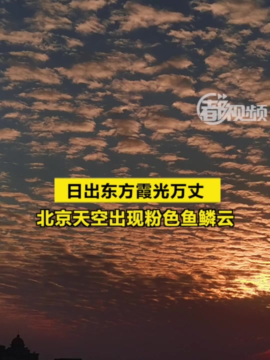 日出东方,霞光万丈!北京天空出现粉色鱼鳞云