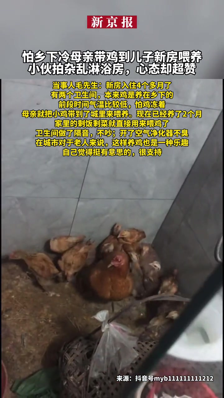 怕乡下冷母亲带鸡到儿子新房喂养、小伙拍杂乱淋浴房,心态却超赞