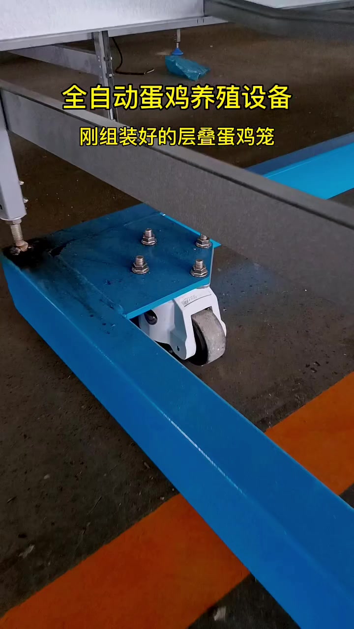 刚组装起来的层叠式蛋鸡养殖笼!