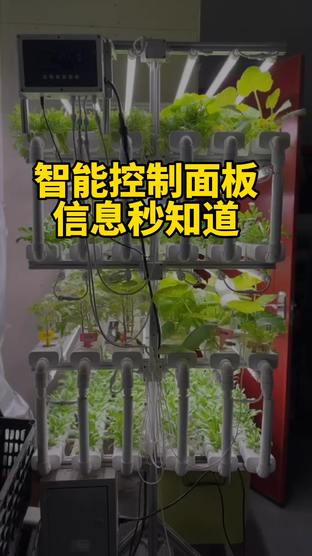 室内水培种菜机实现种菜自由