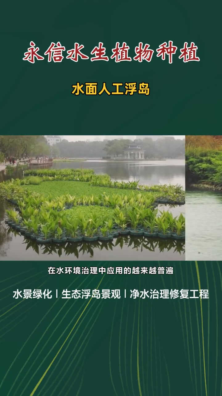 浮床 水生植物 水面人工浮岛 水上人工浮岛批发