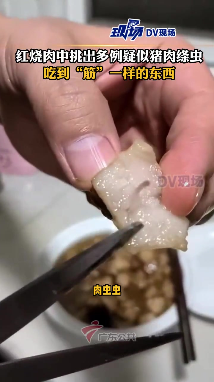 男子从做好的红烧肉中挑出多例疑似猪肉绦虫,吃猪肉时吃到“筋”一样的东西,才发现该猪肉有问题