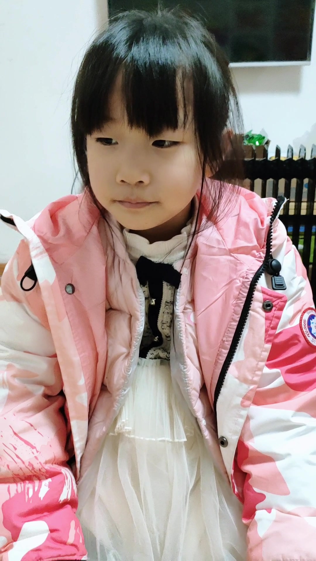 顺口溜,《中国地图像雄鸡》