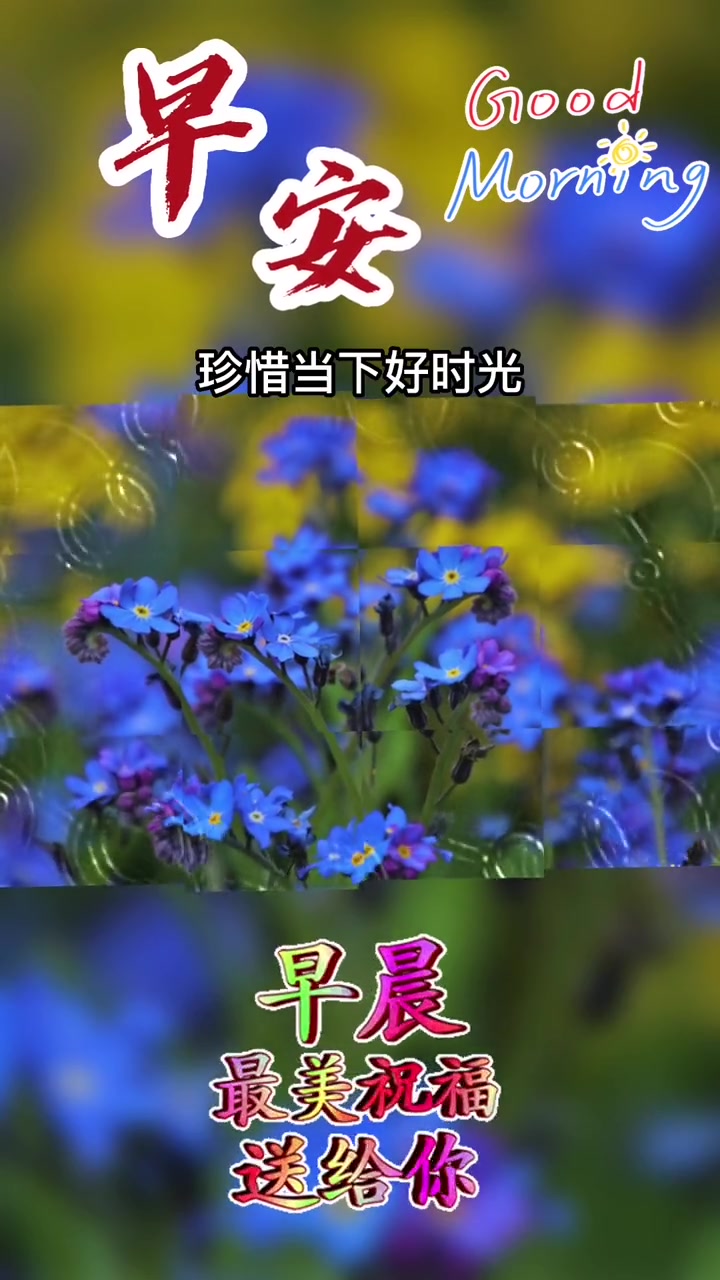 今天是1月11日星期三,农历腊月二十,早上好呀,青山依旧人渐老,确保心态身体好,富贵贫穷无