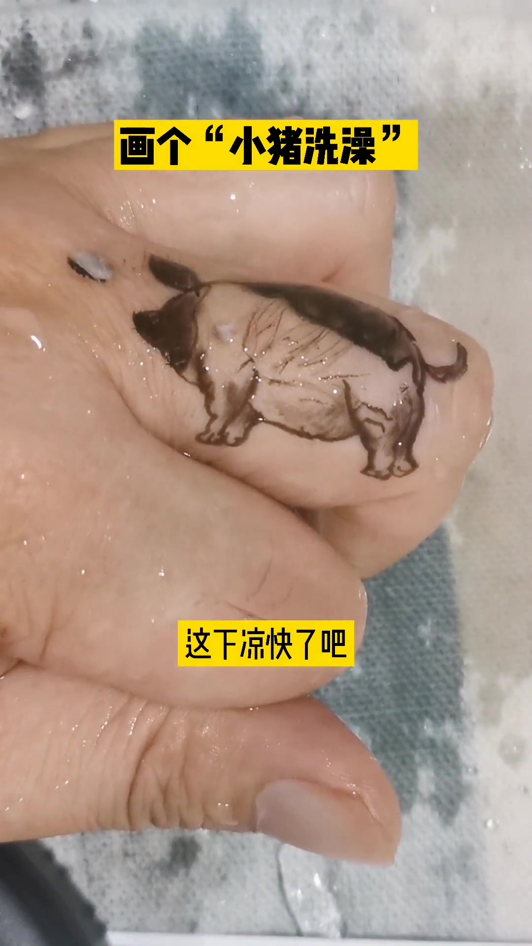 第27集|夏日炎炎似火烧,苍蝇叮 蚊子咬,画只“小猪”来洗澡 简笔画 零基础学画画