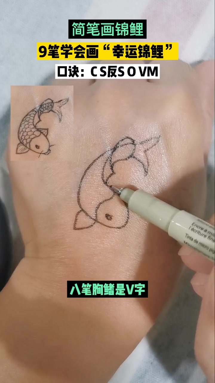 幸运锦鲤,好运相伴,画只属于自己的“幸运锦鲤”吧 简笔画 萌知计划