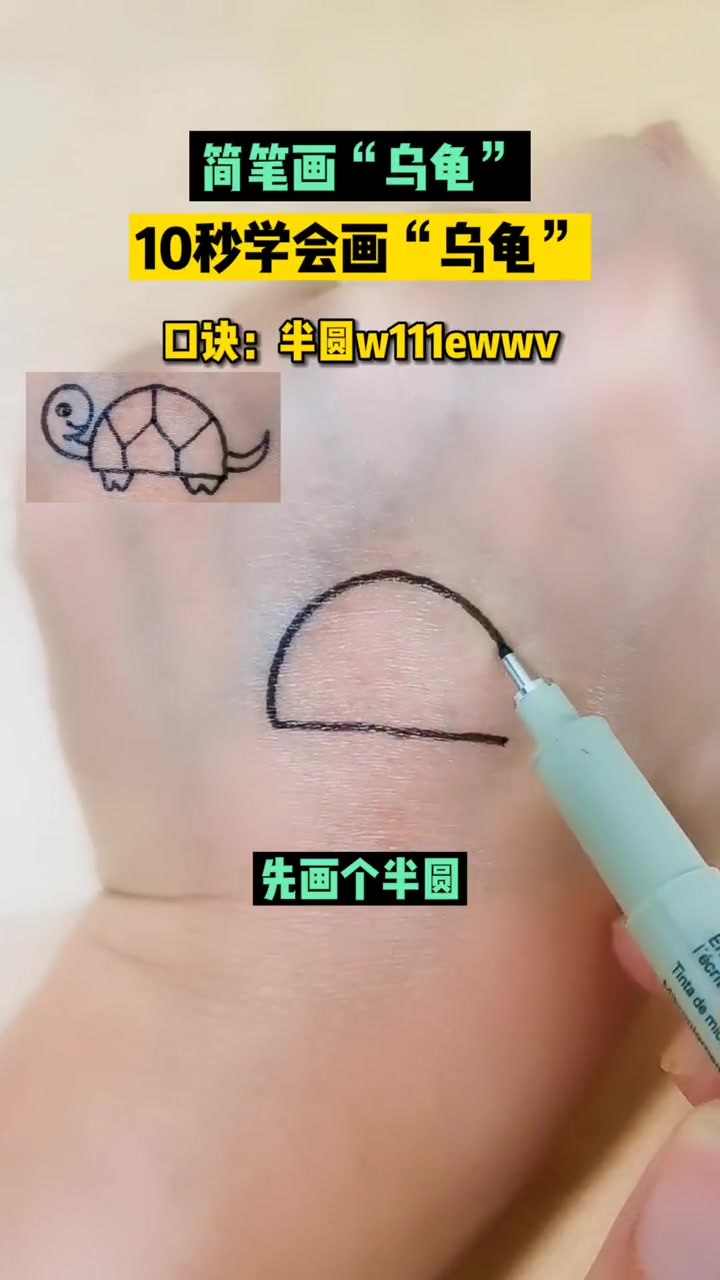 10秒学会画可爱小乌龟 简笔画
