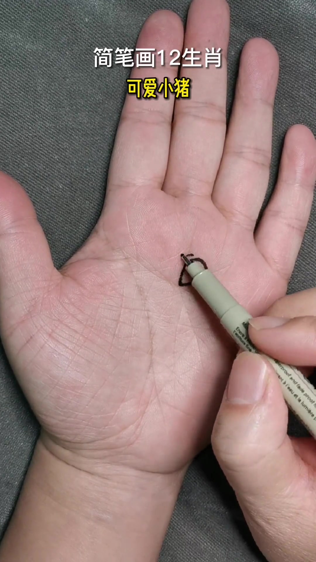 简笔画12生肖可爱小猪,一看就会。简笔画 萌知计划