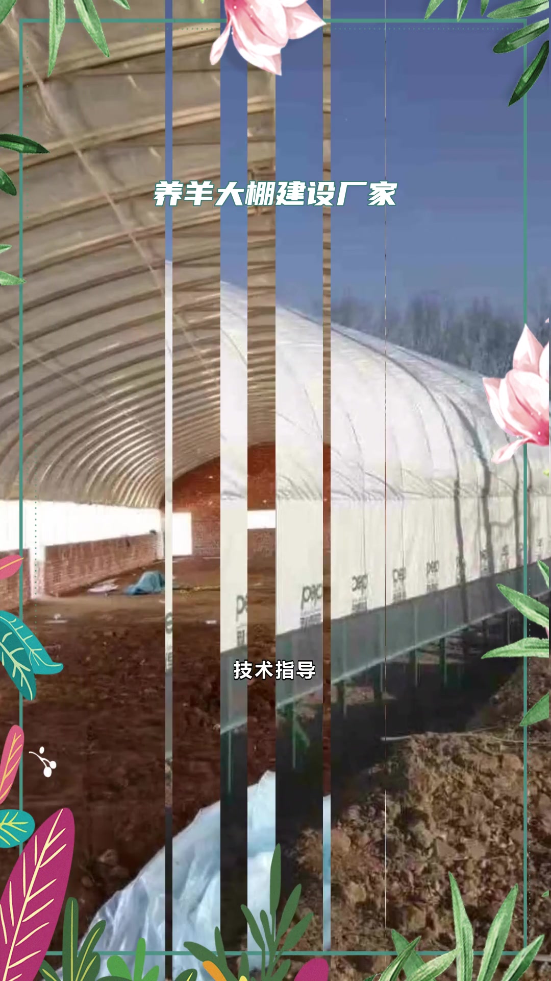 西安市养猪大棚建设厂家