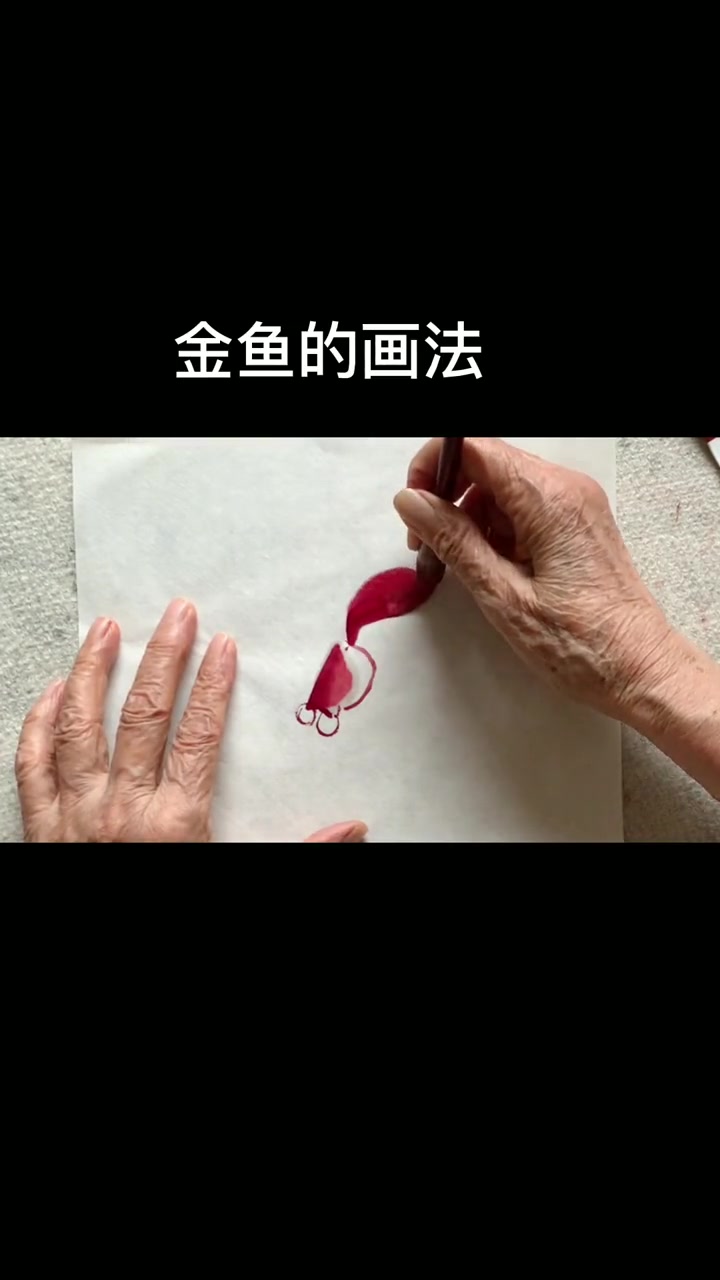 真的小金鱼怎么画
