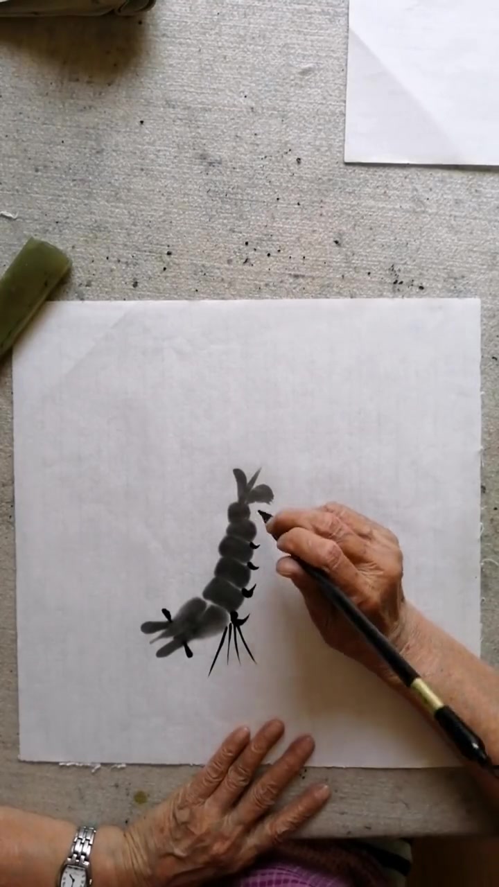 第44集|国画虾的画法 水墨写意 静雅画苑 国画艺术 虾须和虾脚的画法