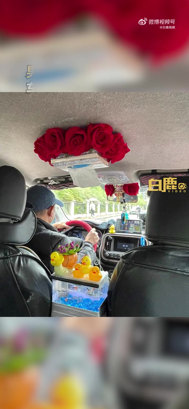 「最美出租车!男子打出租遇车内插玫瑰养小鱼:被车内装潢温暖到」1月10日,广东广州。曾先生