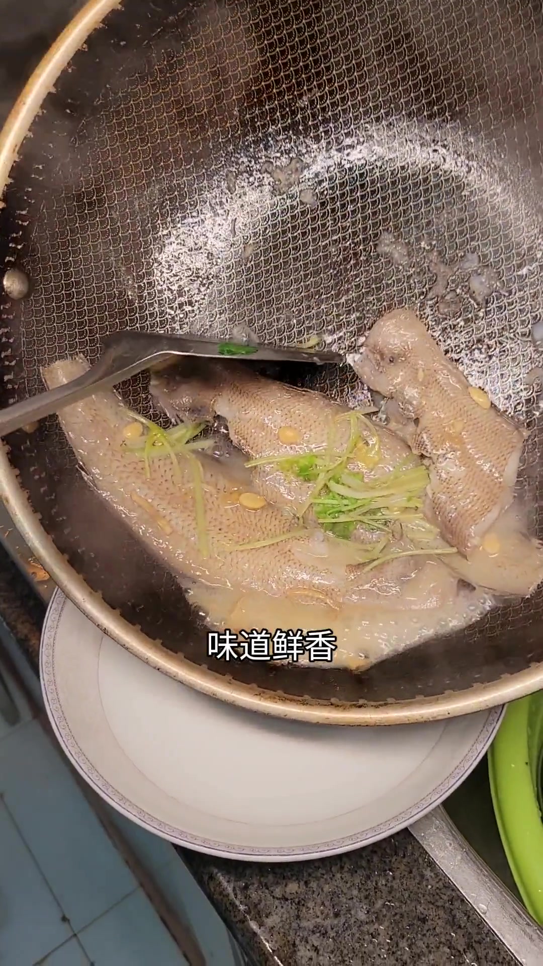 龙舌