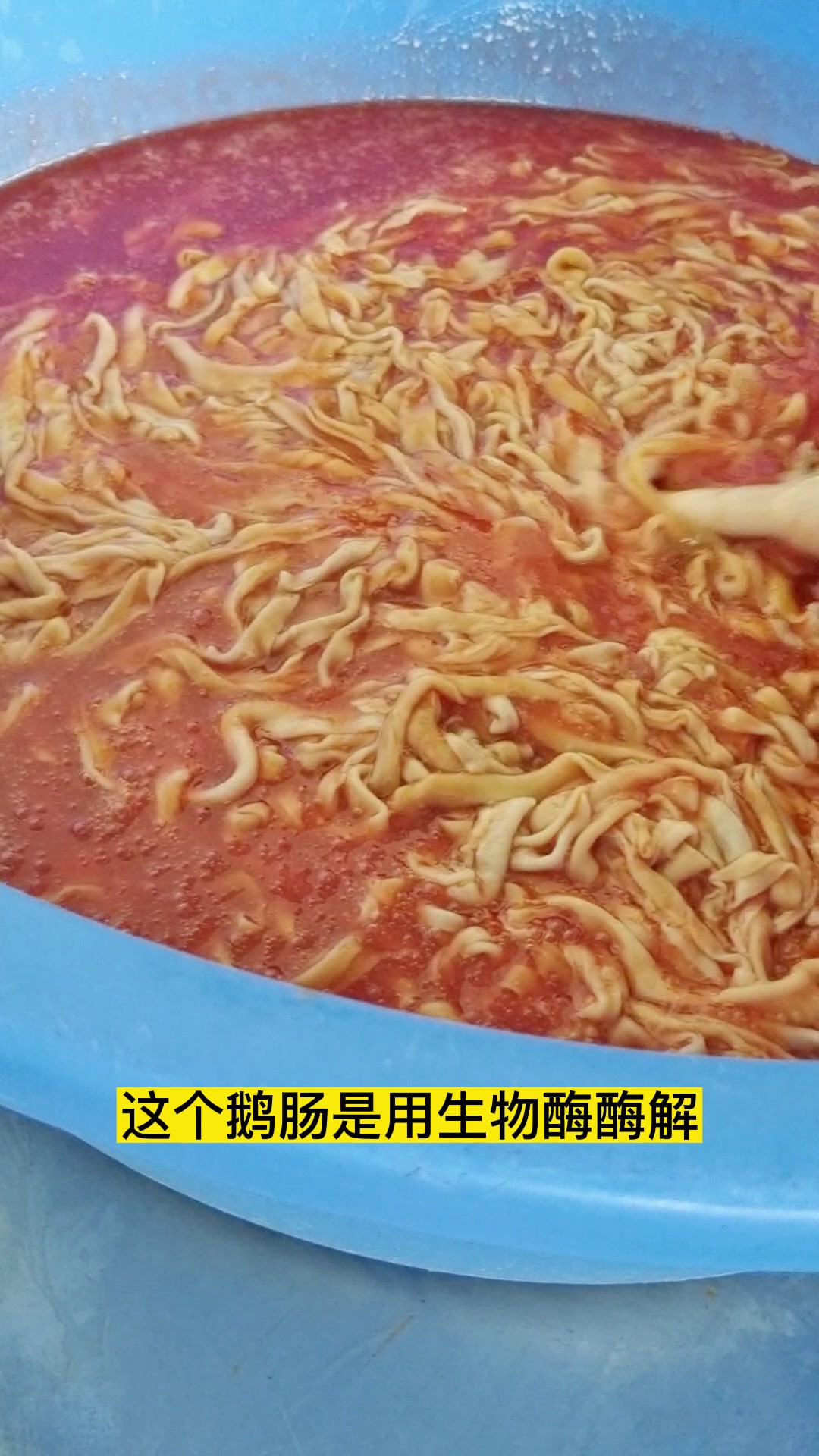 火锅店鹅肠源头厂家来了,免洗免处理,后悔现在才知道!