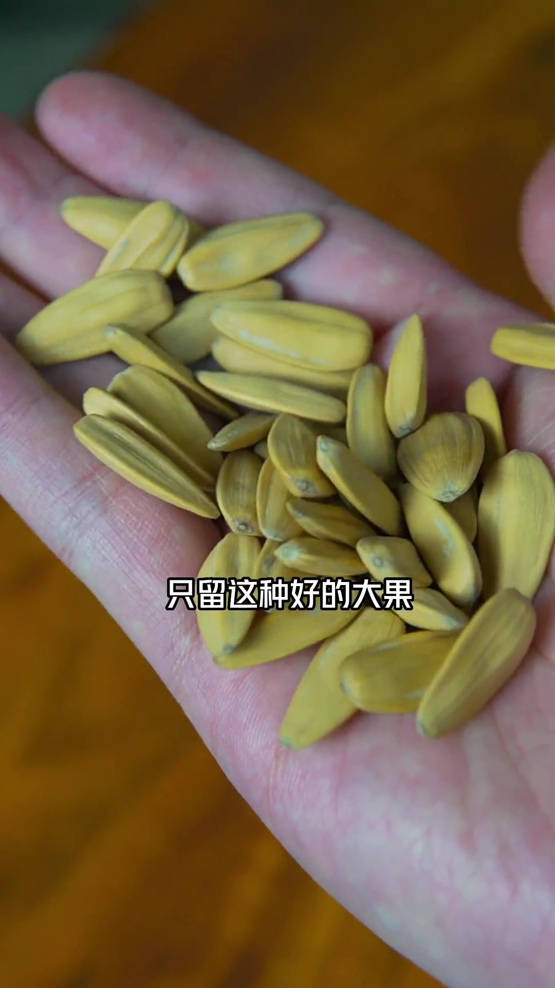 这款网红瓜子很好吃,全部是大颗粒,替大家试过了,确实不错。追剧小零食 零食推荐 安徽美好推