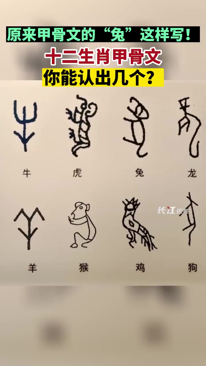 「原来甲骨文的兔这样写」2023年是农历兔年,十二生肖中的兔用甲骨文该怎么写?1月13日,
