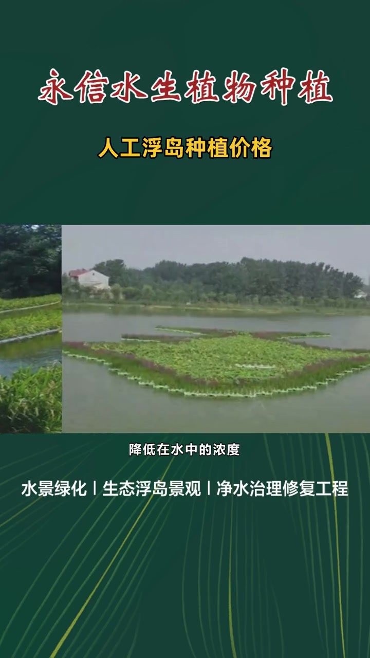 水生植物生态浮床 人工浮岛种植价格 人工浮岛单价