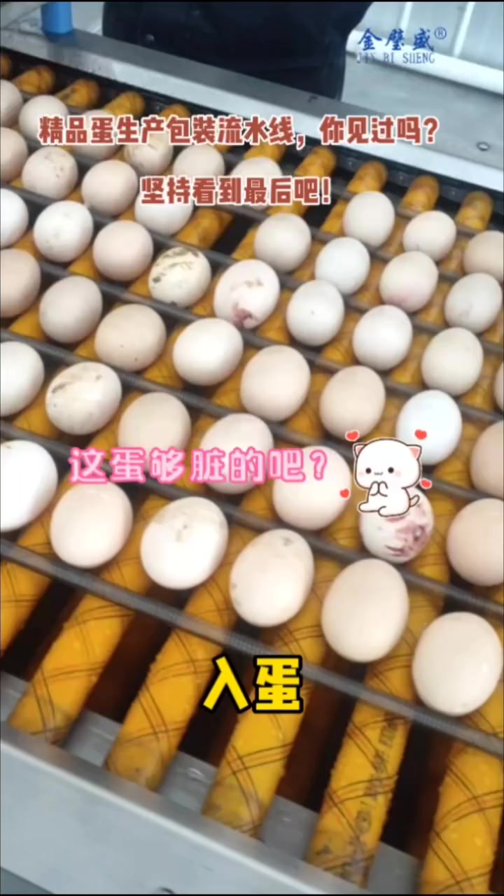 金璧盛鸡蛋分选分级装托机 #装托机 #清洗烘干涂油 #装托盘机
