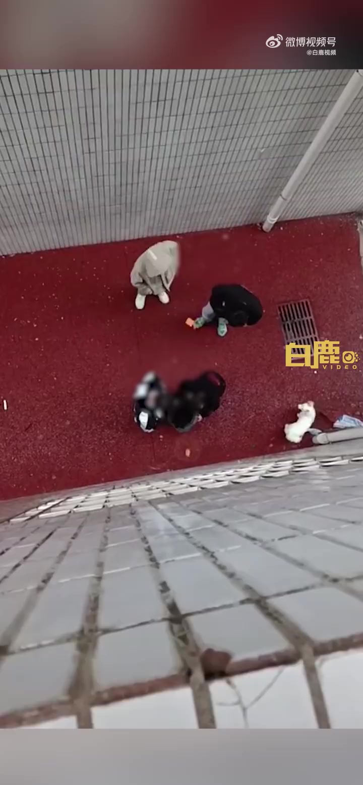 「4男孩小巷虐狗男子楼上喝止:希望家长能好好教育」多人在小巷里虐狗男子呵斥制止 1月14日