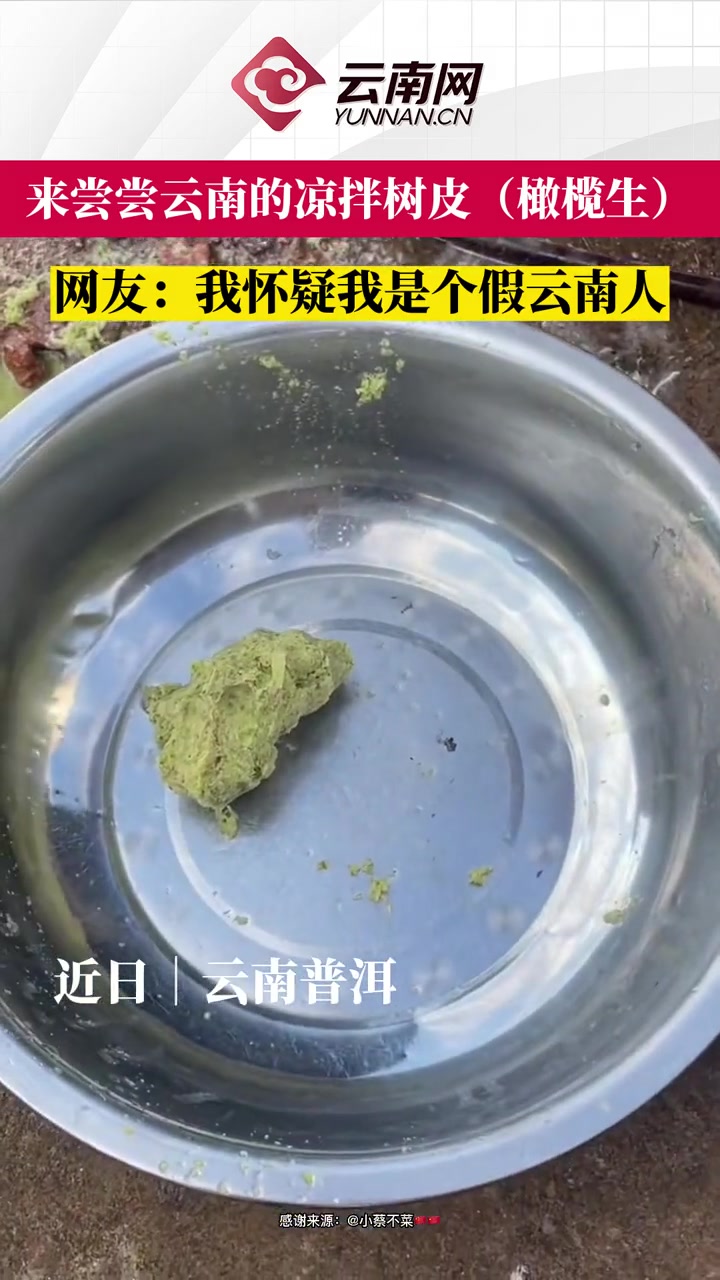 快来尝尝云南的凉拌树皮(敢揽生),网友:我怀疑我是个假云南人,呜呜呜 美食 云南美食 云南