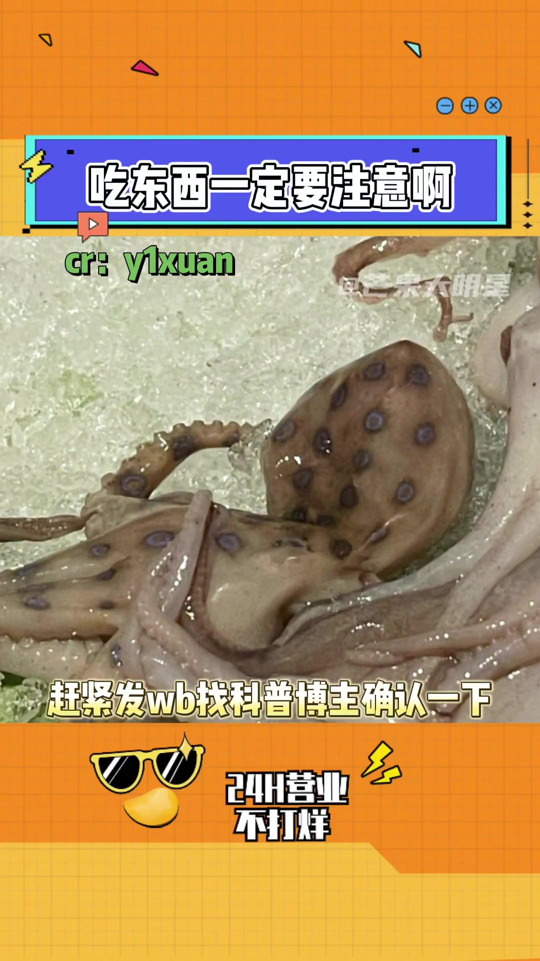 家人们吃东西一定要注意啊 觉得不对劲一定别吃!科普 美食 蓝环章鱼到底有多毒 长见识了